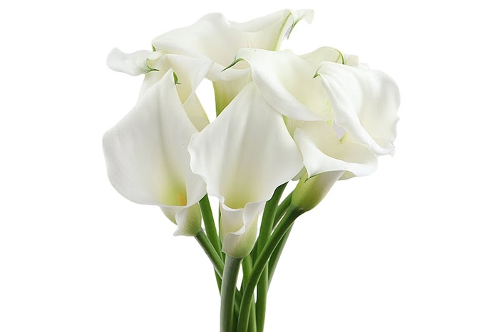 <h4>Calla Crystal Blush</h4>