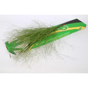 Emu Feather x 10