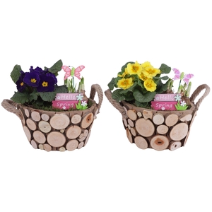 Early Spring Arr. Outdoor Wooden Pot Oval Tree Chucks Ø23cm 2PP