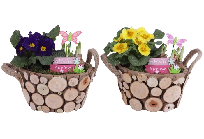 <h4>Early Spring Arr. Outdoor Wooden Pot Round Tree Chucks Ø22cm 2PP</h4>