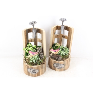 arr2 TD - Hout waterput bruin - roze/wit