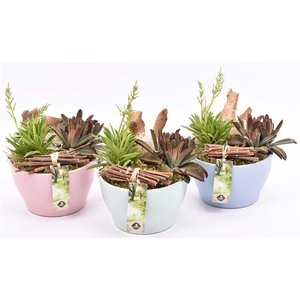 Keramiek schaal kl.mix 15cm