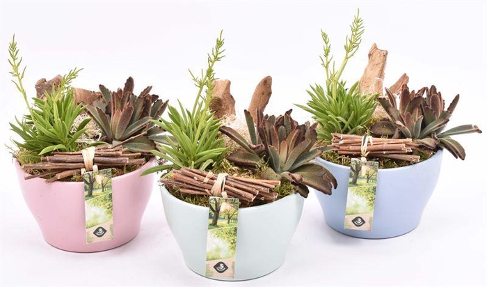 <h4>Keramiek schaal kl.mix 15cm</h4>