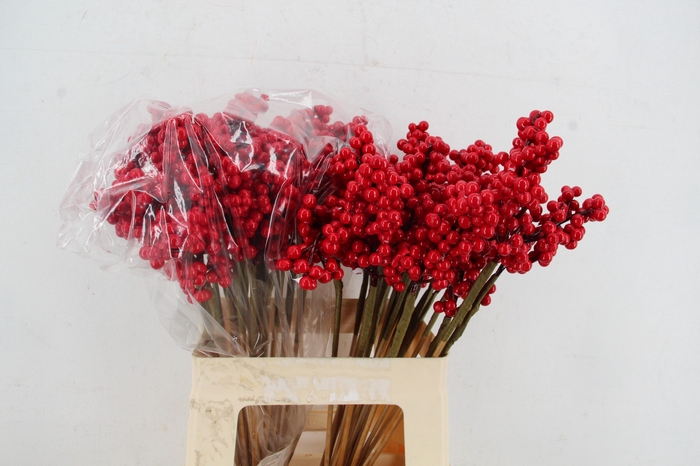 <h4>Stick Berries Ilex Red</h4>