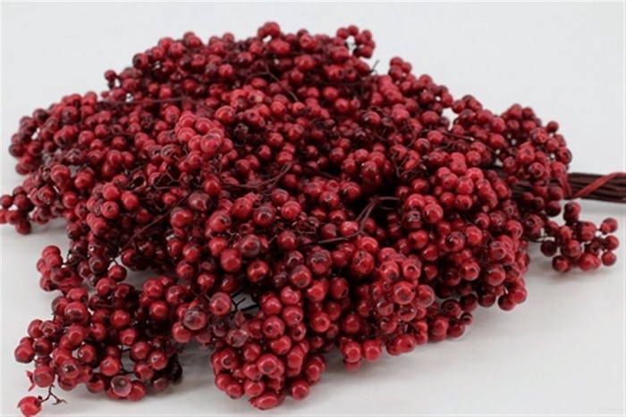 <h4>Schinus M Pt Bordeaux Bunch</h4>