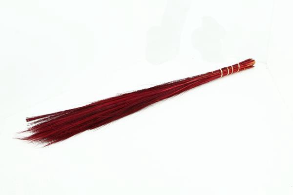 <h4>Df Broom Grass 75cm Bs Burg.</h4>