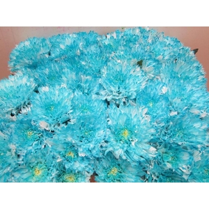 Chr G Undercover Pastel Mint