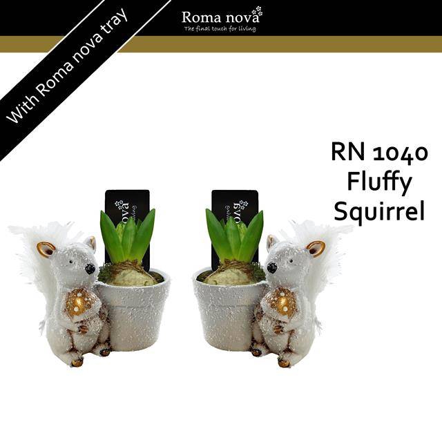 <h4>arr4 Hyacint RN - Fluffy Squirel</h4>