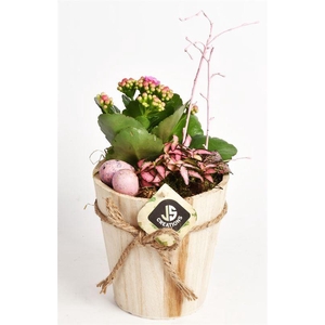 Hout pot met touw 13cm