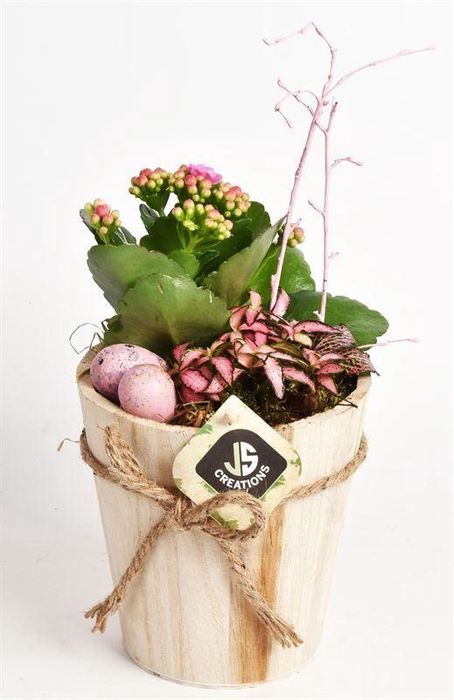 <h4>Hout pot met touw 13cm</h4>