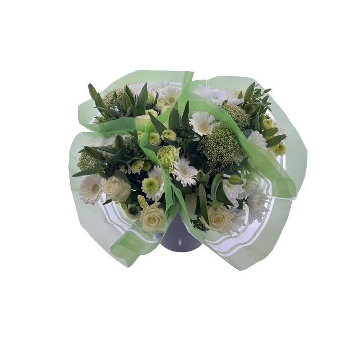 <h4>BQ 13 stems White</h4>