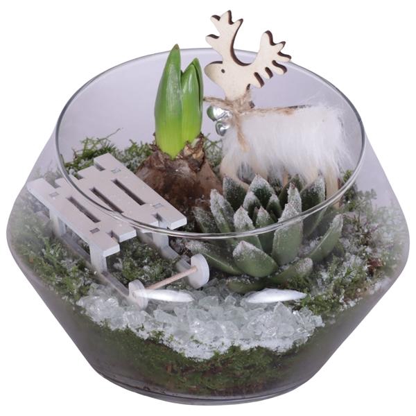 <h4>Christmas Arr. Indoor Glass Oblique UFO Vase Ø20cm 2PP</h4>