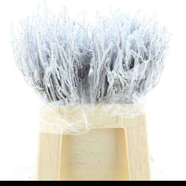 <h4>VACC KLB H%</h4>