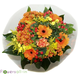 202311 Oranje