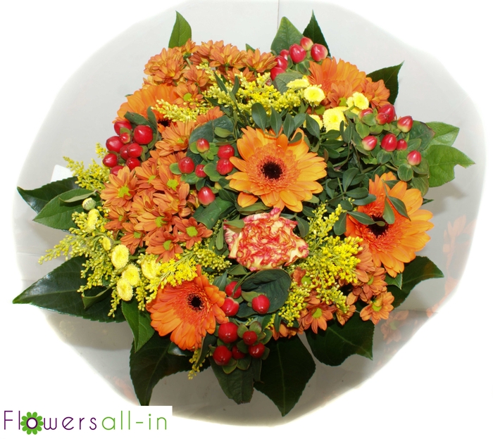 <h4>202311 Oranje</h4>