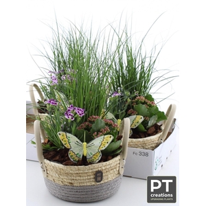 ARR TUINPLANTEN