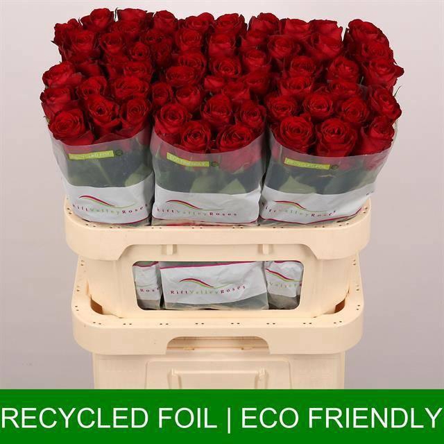 <h4>R GR MADAM RED</h4>