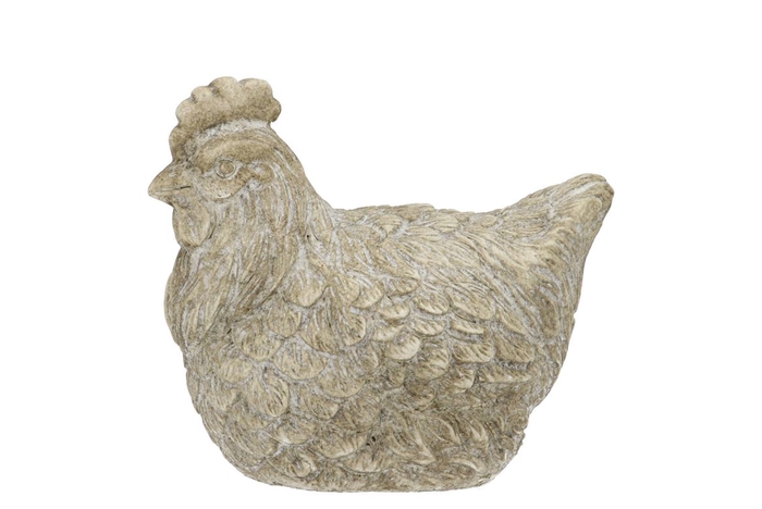 <h4>Concrete Farm Grey Chicken Feathers 19x12x14cm Nm</h4>