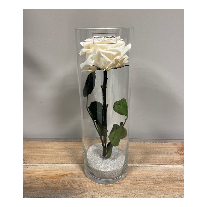 <h4>Cilinder d10x30h champagne glas</h4>