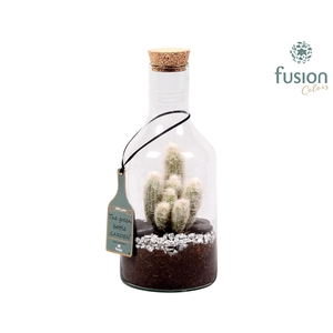 Green Bottle Fles Small met Cactussen