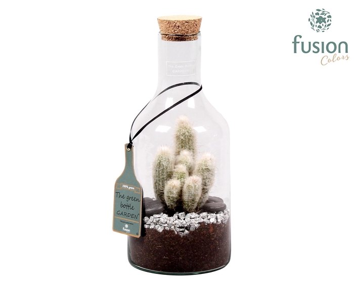 <h4>Green Bottle Fles Small met Cactussen</h4>