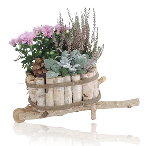 Collectie Anna Arrangement in Houten Kruiwagen 21 cm