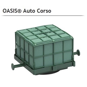 OASIS® 11-03024 AUTOCORSO X6