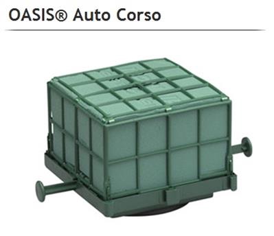 <h4>OASIS® 11-03024 AUTOCORSO x6</h4>