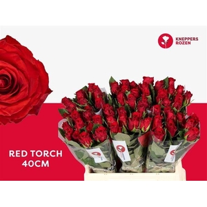 R GR RED TORCH