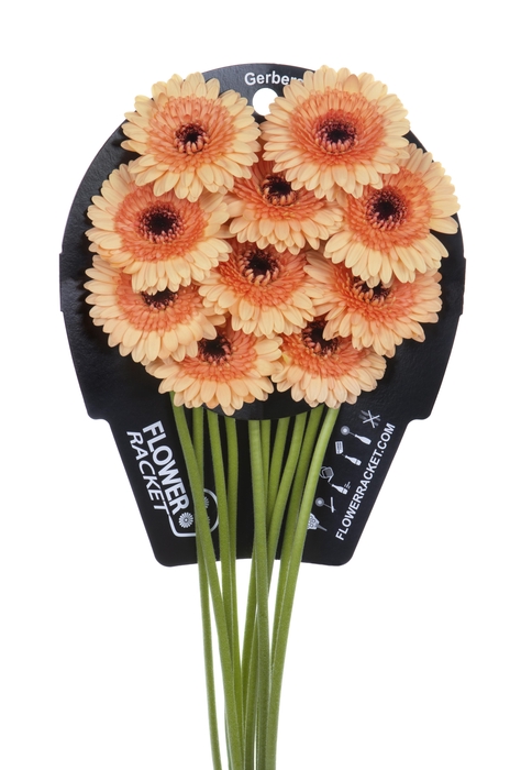 <h4>Germini Oreo Flowerracket</h4>