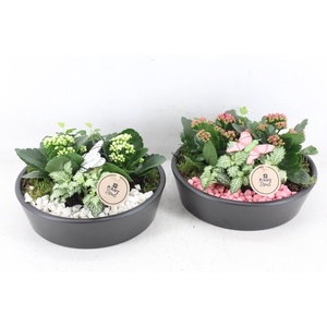 arr2 PL - Ker. schaal 25cm black - roze/wit