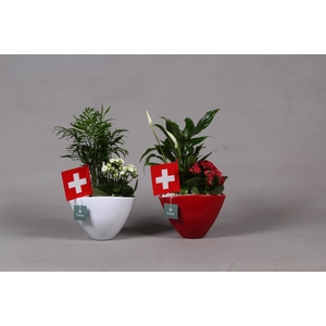 Keramieken pot rood en wit met Arrangent en de vlag van Zwitserland