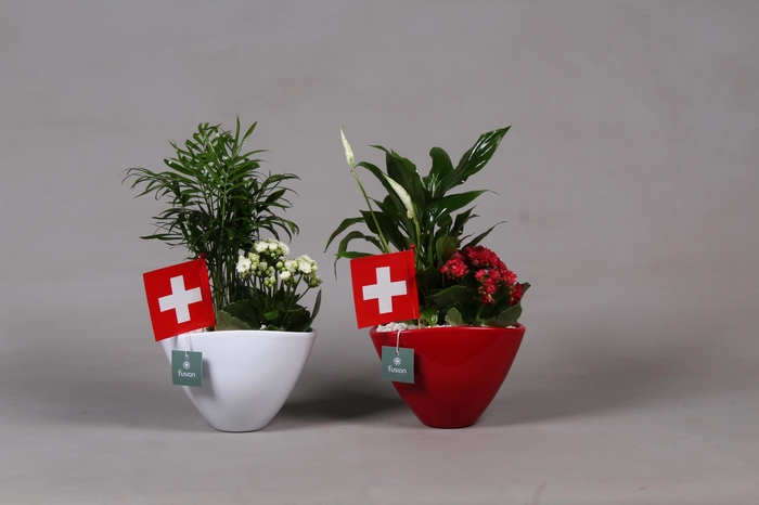 <h4>Keramieken pot rood en wit met Arrangent en de vlag van Zwitserland</h4>