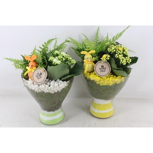 arr2 PL - Glas diabolo - geel/wit