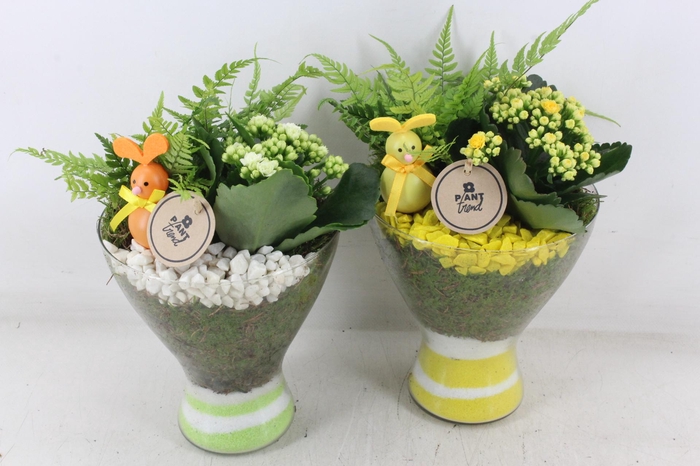 <h4>arr2 PL - Glas diabolo - geel/wit</h4>