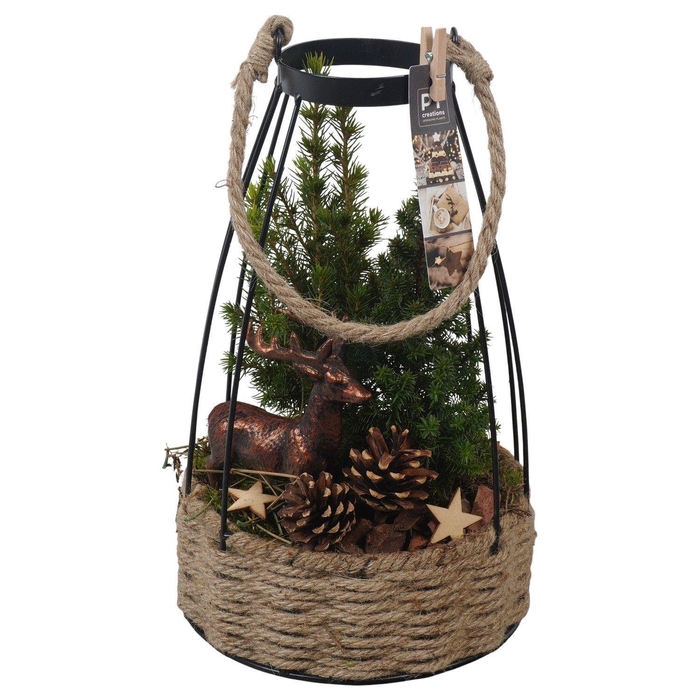 <h4>Arr. Kerst H%</h4>