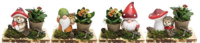<h4>0200  HERFST FIGUUR OP PLANK</h4>