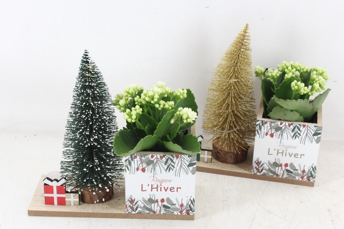 <h4>arr3 RN - Lovely light mix</h4>