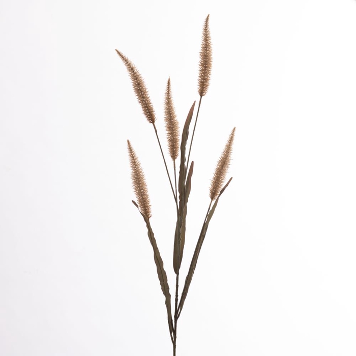 AF Pennisetum x4 L133cm Beige