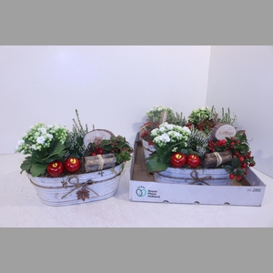 ARR TUINPLANTEN