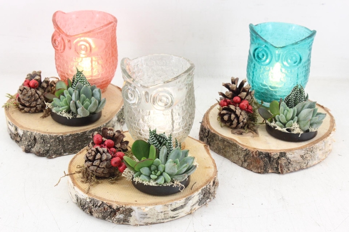 <h4>arr3 AD - Owl candle holder op schijf</h4>