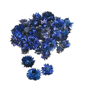 Helichrysum Heads Kg Dark Blue