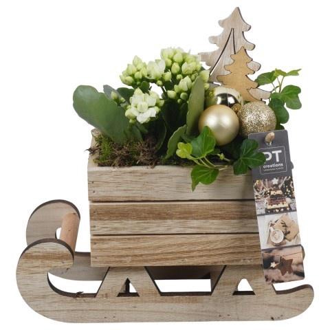 <h4>Opm Pt PTCHG5697 X-mas Gold Hout Slee</h4>