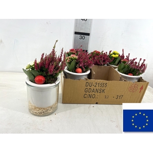 ARR TUINPLANTEN