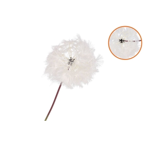 Silk Dandelion White 91cm
