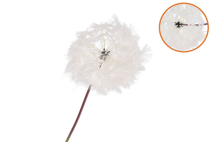<h4>Silk Dandelion White 91cm</h4>