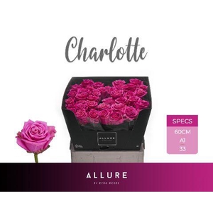 R GR CHARLOTTE ALLURE