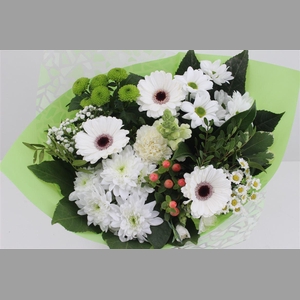 Boeket Germini Wit