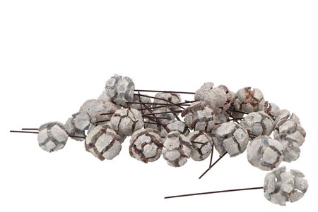 <h4>Pick Nature Cypresse Stone White O/dr P/100</h4>