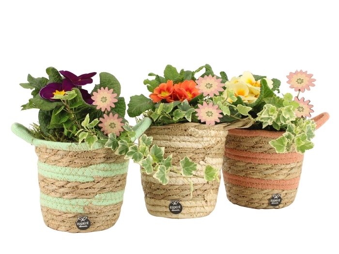 <h4>11653: Outdoor spring arrangement</h4>